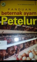 Panduan berternak ayam petelur