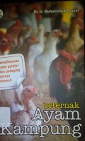 Beternak ayam kampung